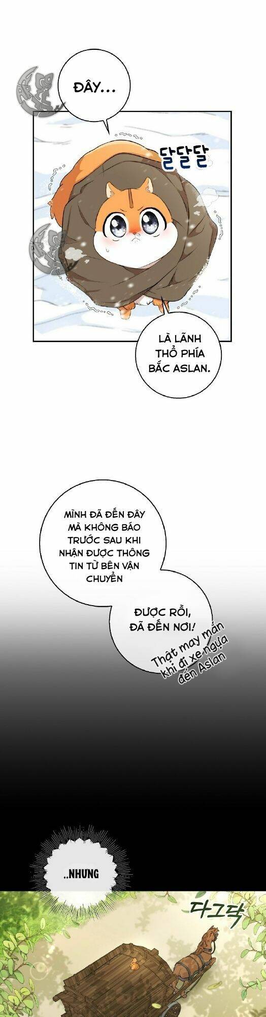 Sóc Nhỏ Tài Năng Chap 3 - Next Chap 4