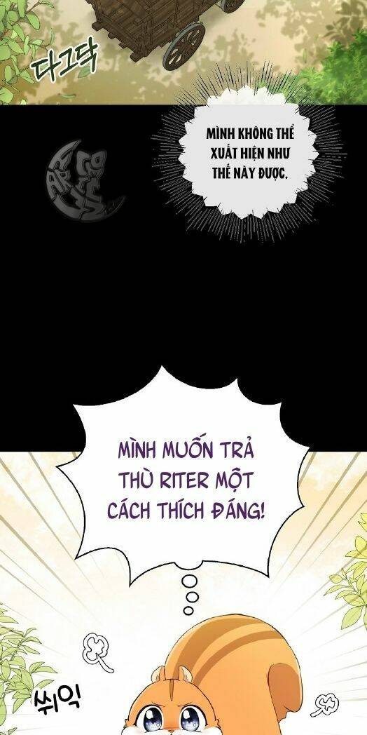 Sóc Nhỏ Tài Năng Chap 3 - Next Chap 4