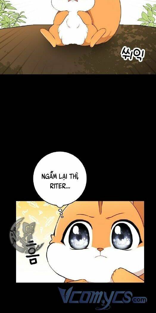 Sóc Nhỏ Tài Năng Chap 3 - Next Chap 4