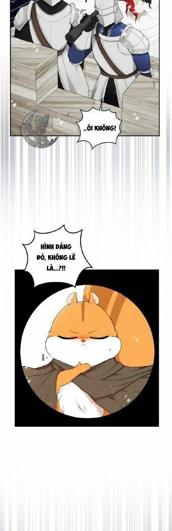 Sóc Nhỏ Tài Năng Chap 3 - Next Chap 4