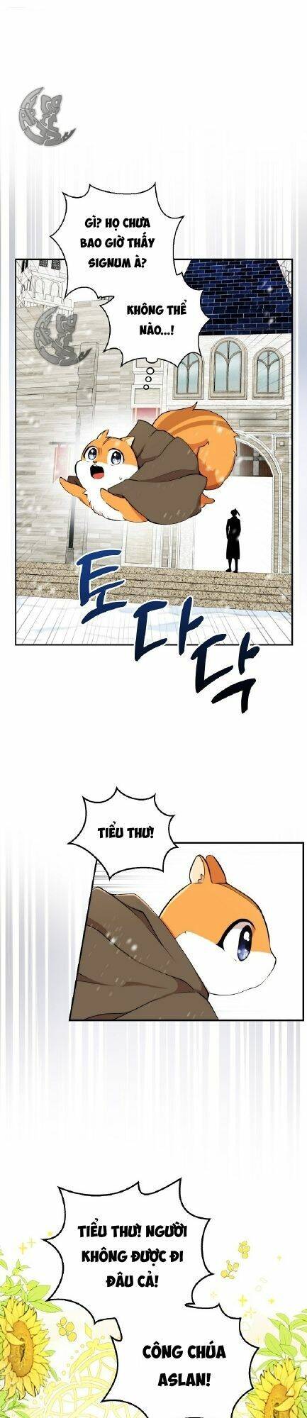 Sóc Nhỏ Tài Năng Chap 3 - Next Chap 4
