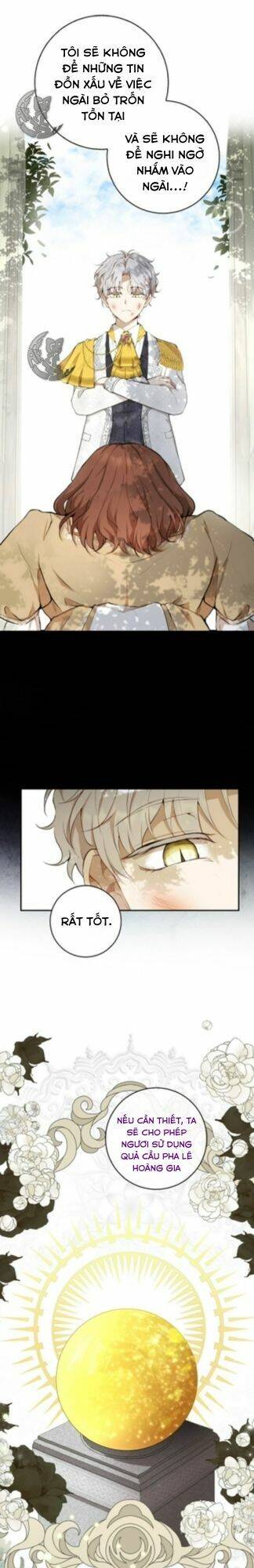 Sóc Nhỏ Tài Năng Chap 3 - Next Chap 4