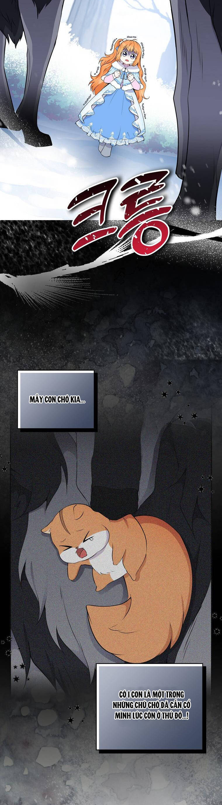 Sóc Nhỏ Tài Năng Chap 30 - Next Chap 31