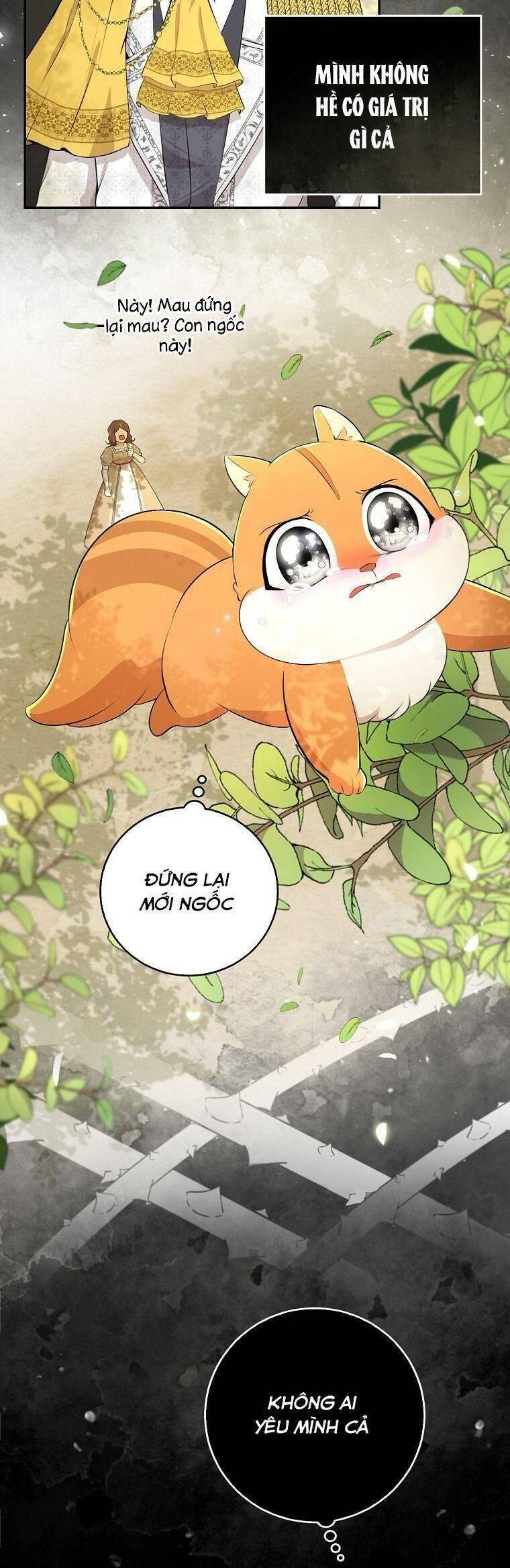 Sóc Nhỏ Tài Năng Chap 36 - Next Chap 37