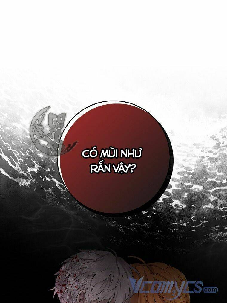 Sóc Nhỏ Tài Năng Chap 4 - Next Chap 5