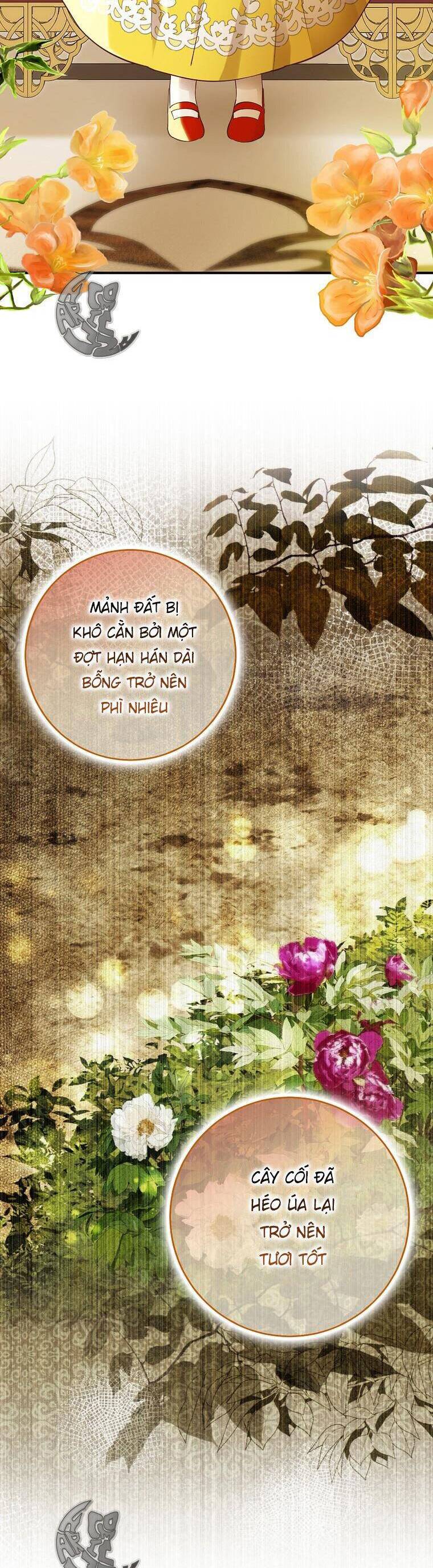 Sóc Nhỏ Tài Năng Chap 45 - Next Chap 46