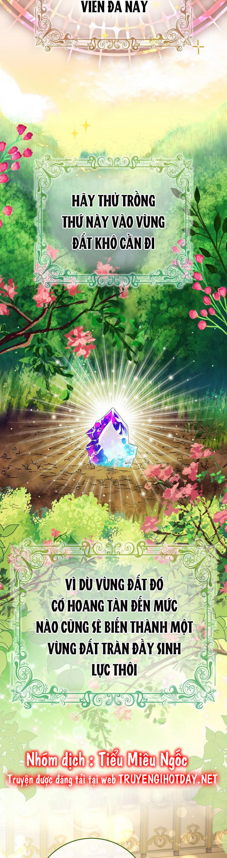 Sóc Nhỏ Tài Năng Chap 49 - Next Chap 50
