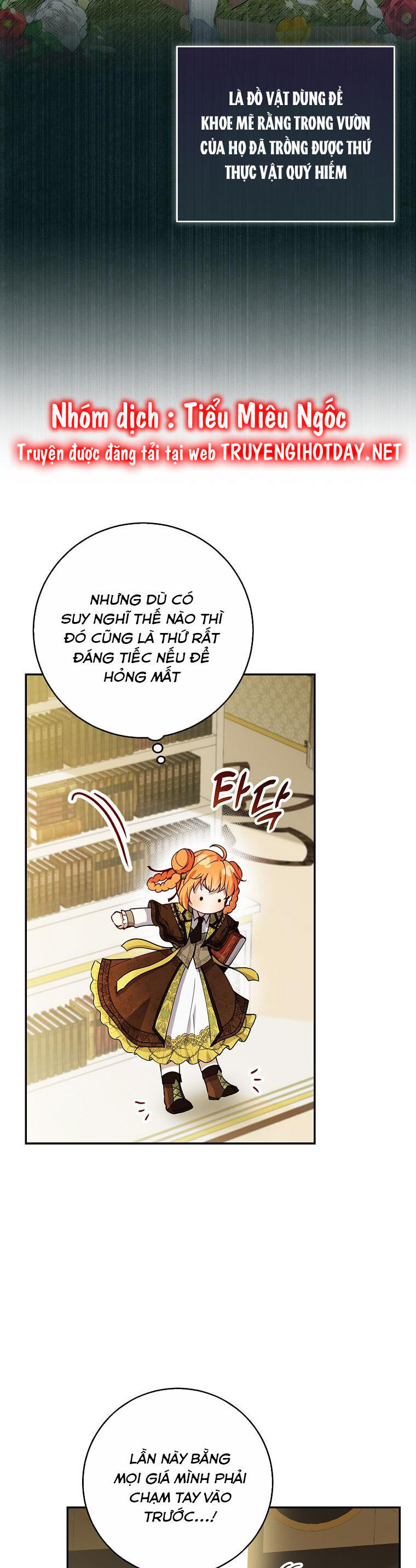 Sóc Nhỏ Tài Năng Chap 49 - Next Chap 50
