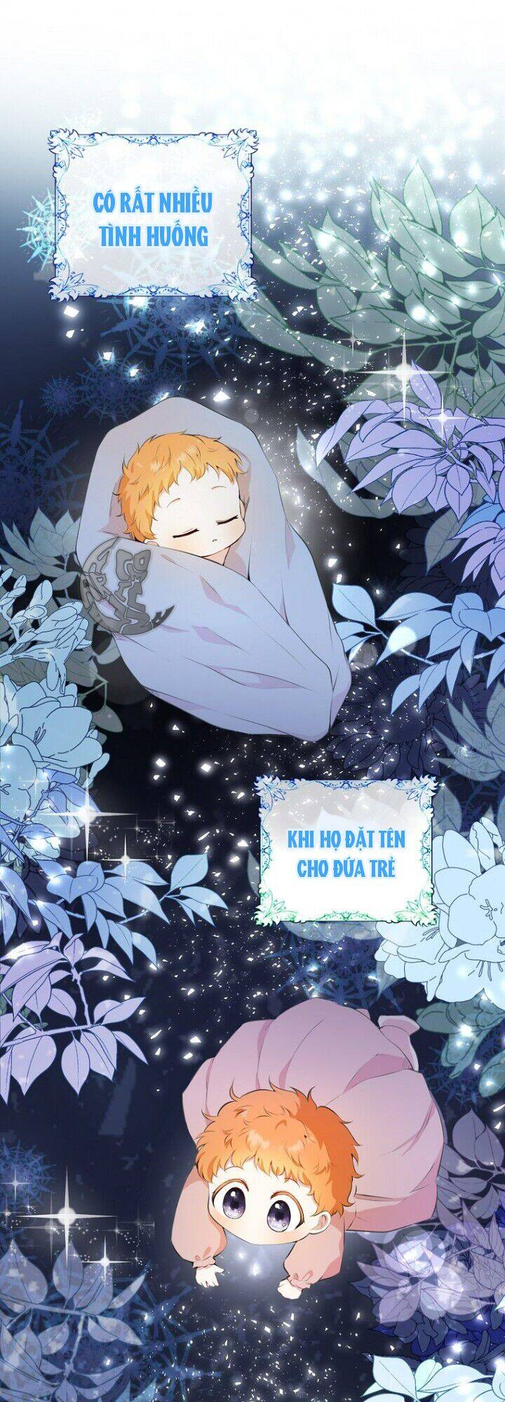 Sóc Nhỏ Tài Năng Chap 5 - Next Chap 6