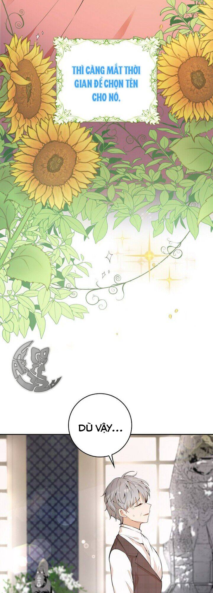Sóc Nhỏ Tài Năng Chap 5 - Next Chap 6