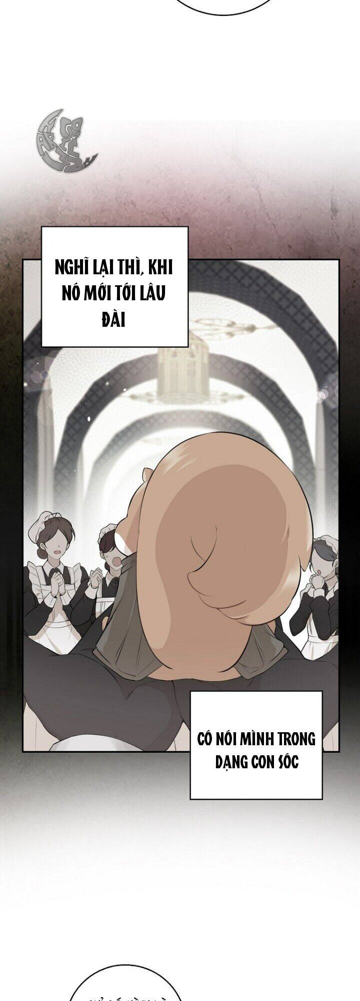 Sóc Nhỏ Tài Năng Chap 5 - Next Chap 6