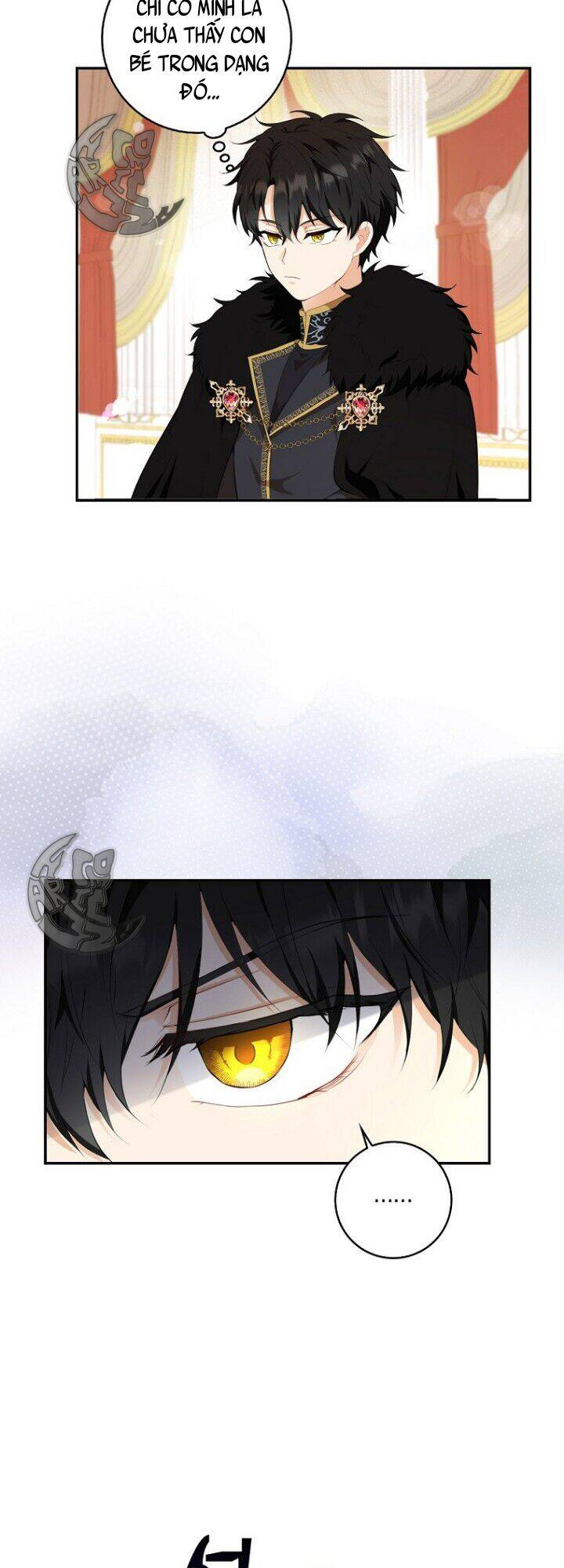 Sóc Nhỏ Tài Năng Chap 5 - Next Chap 6