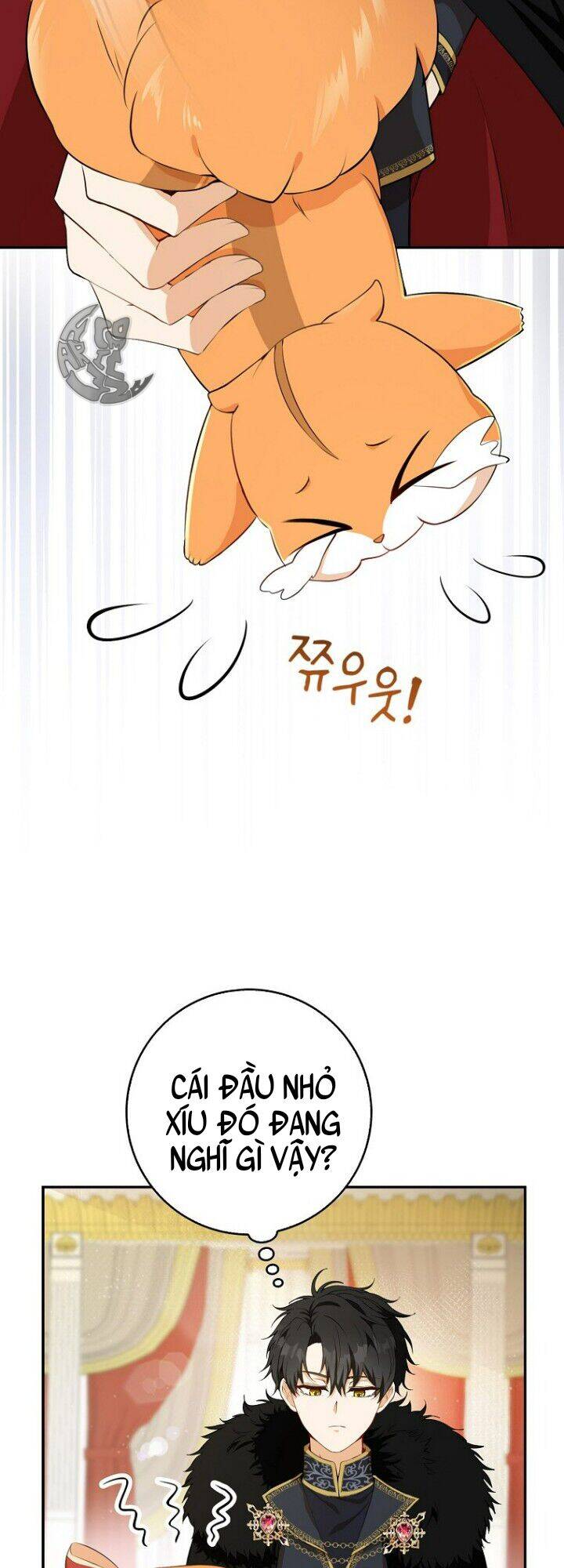 Sóc Nhỏ Tài Năng Chap 5 - Next Chap 6