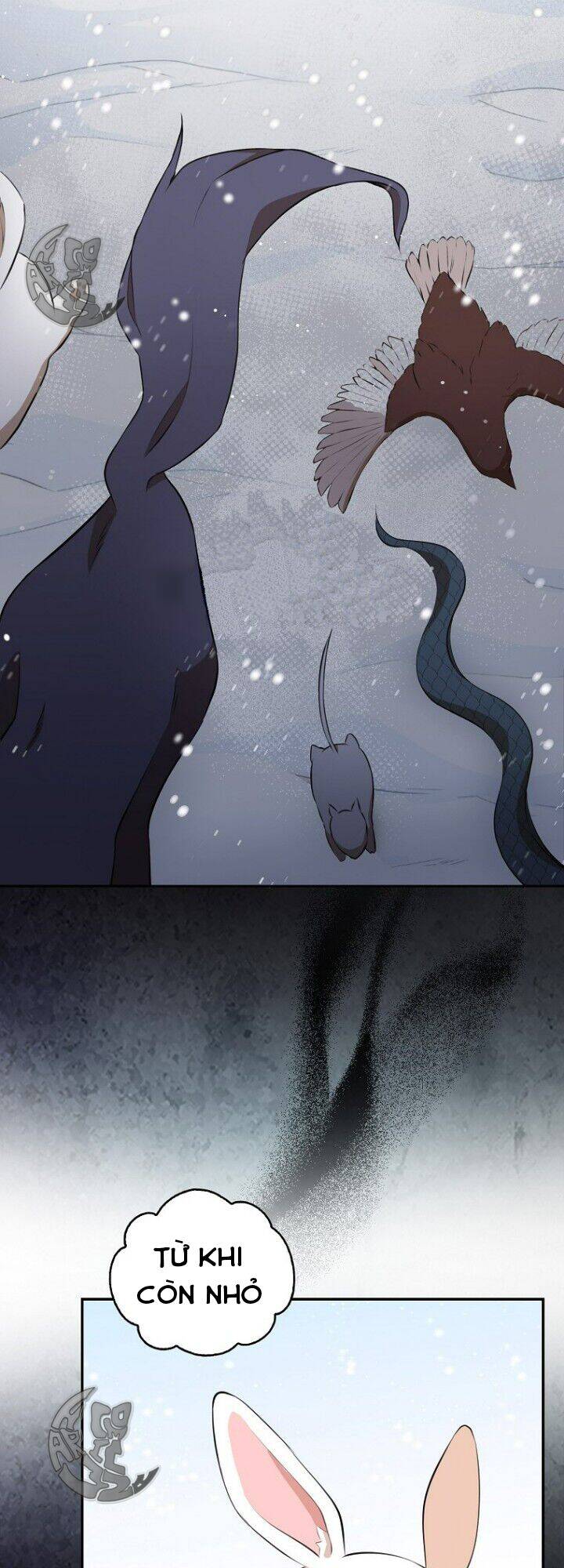 Sóc Nhỏ Tài Năng Chap 5 - Next Chap 6