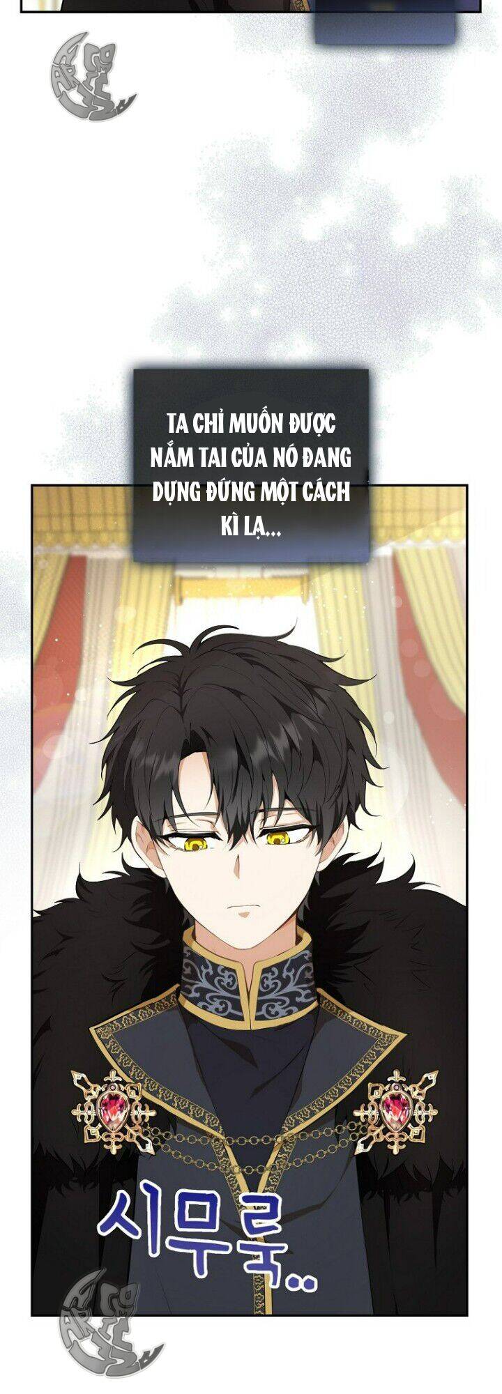 Sóc Nhỏ Tài Năng Chap 5 - Next Chap 6