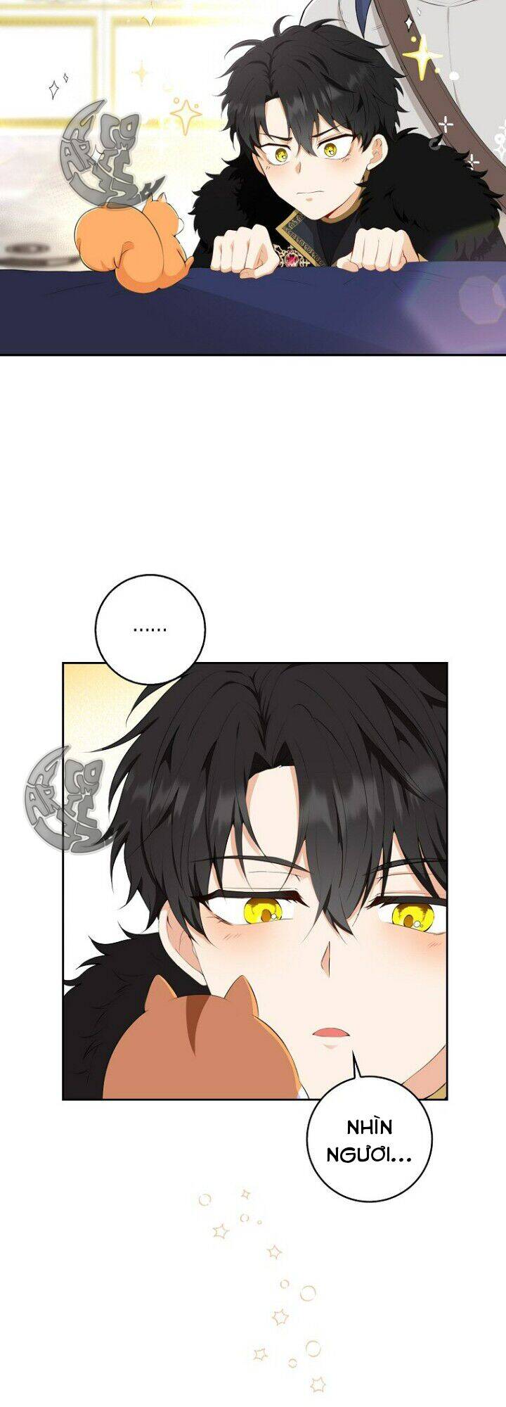 Sóc Nhỏ Tài Năng Chap 5 - Next Chap 6