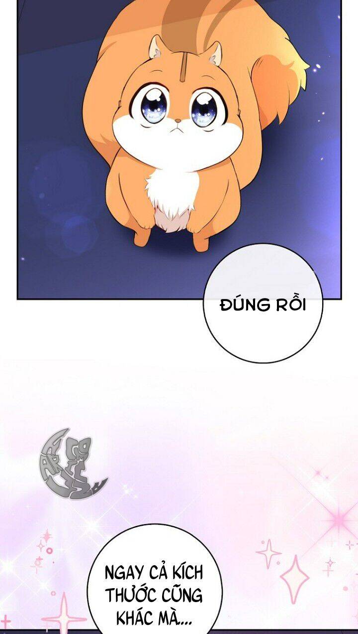 Sóc Nhỏ Tài Năng Chap 5 - Next Chap 6