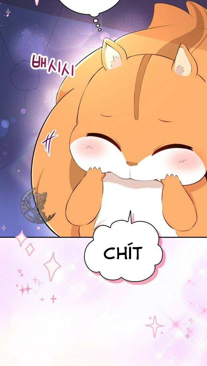 Sóc Nhỏ Tài Năng Chap 5 - Next Chap 6
