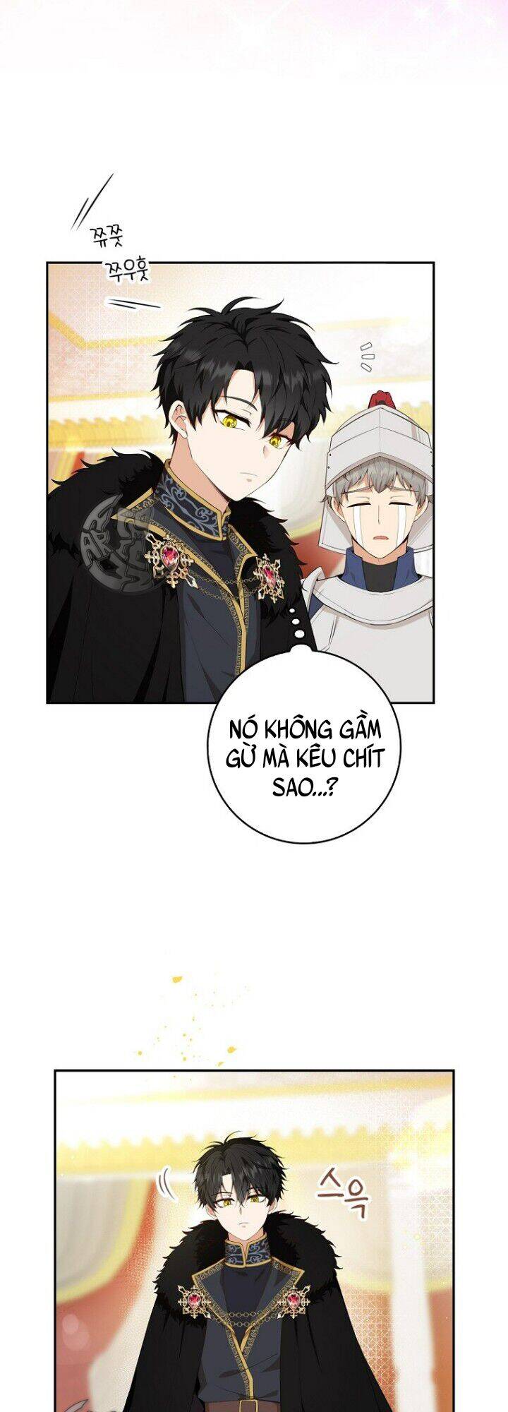 Sóc Nhỏ Tài Năng Chap 5 - Next Chap 6