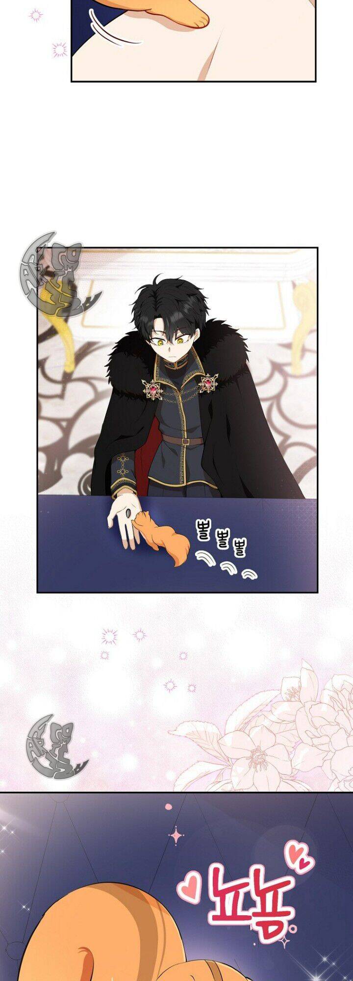 Sóc Nhỏ Tài Năng Chap 5 - Next Chap 6