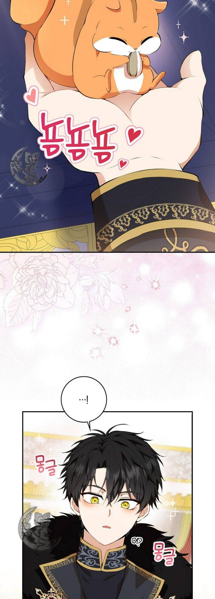 Sóc Nhỏ Tài Năng Chap 5 - Next Chap 6