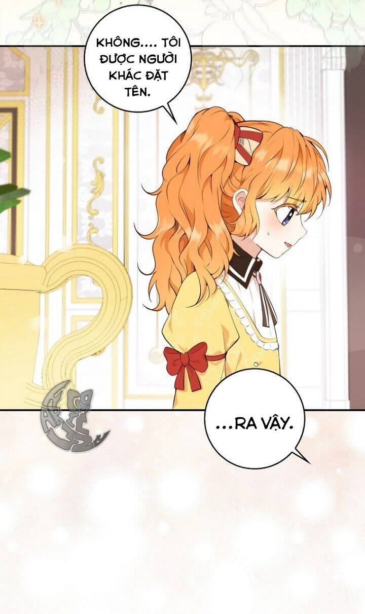 Sóc Nhỏ Tài Năng Chap 5 - Next Chap 6