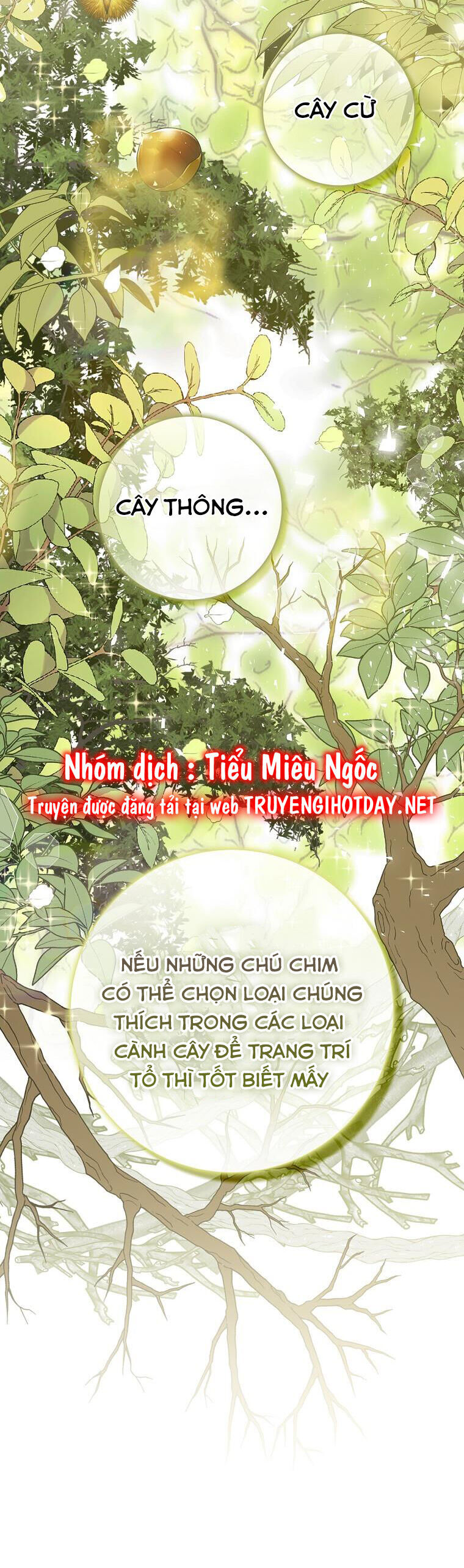 Sóc Nhỏ Tài Năng Chap 51 - Next Chap 52