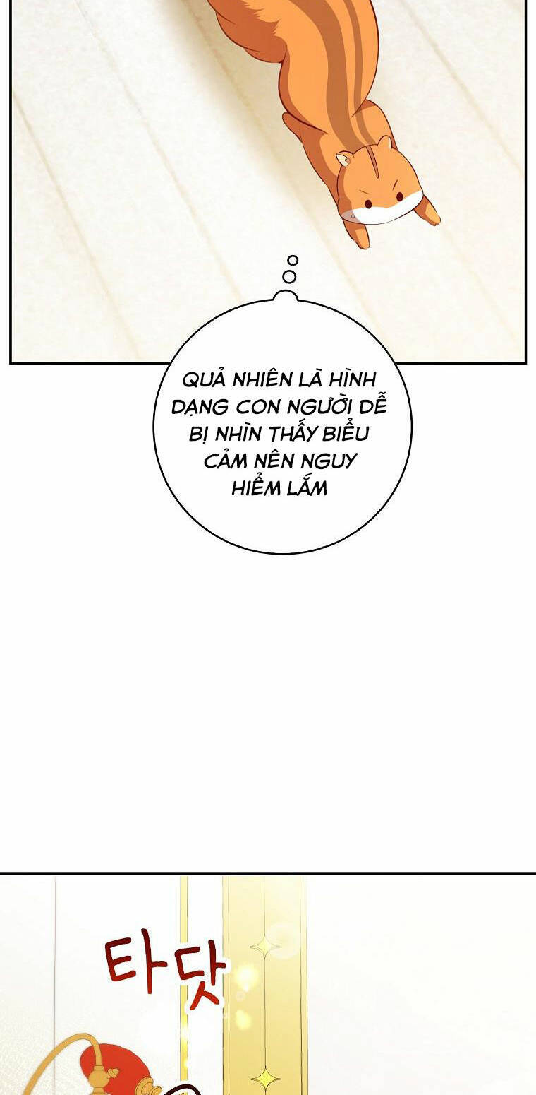 Sóc Nhỏ Tài Năng Chap 52 - Next Chap 53