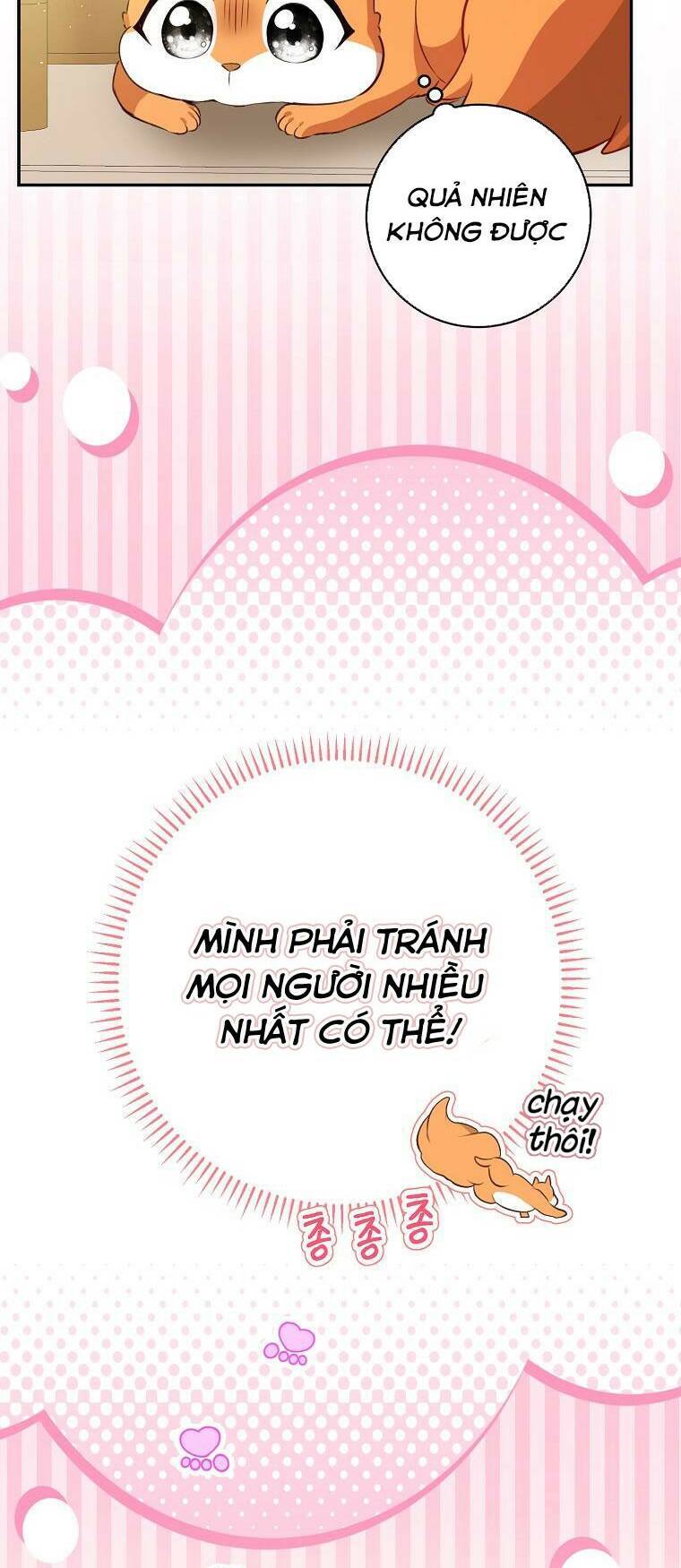 Sóc Nhỏ Tài Năng Chap 52 - Next Chap 53