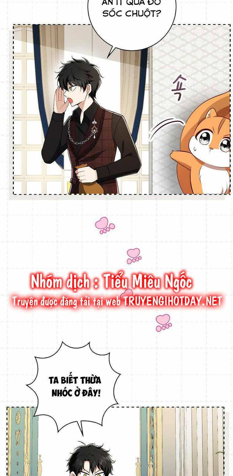 Sóc Nhỏ Tài Năng Chap 52 - Next Chap 53