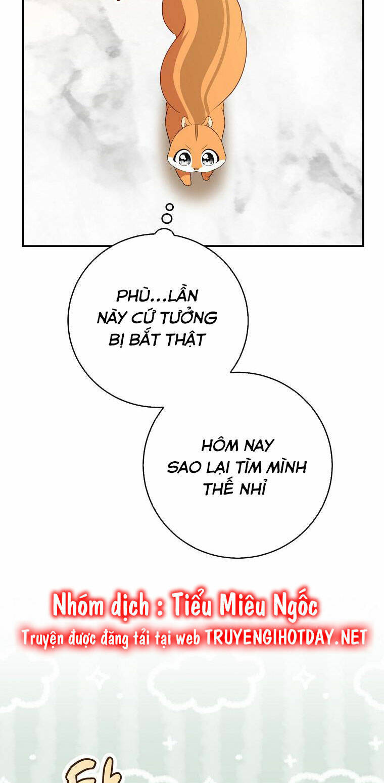 Sóc Nhỏ Tài Năng Chap 52 - Next Chap 53