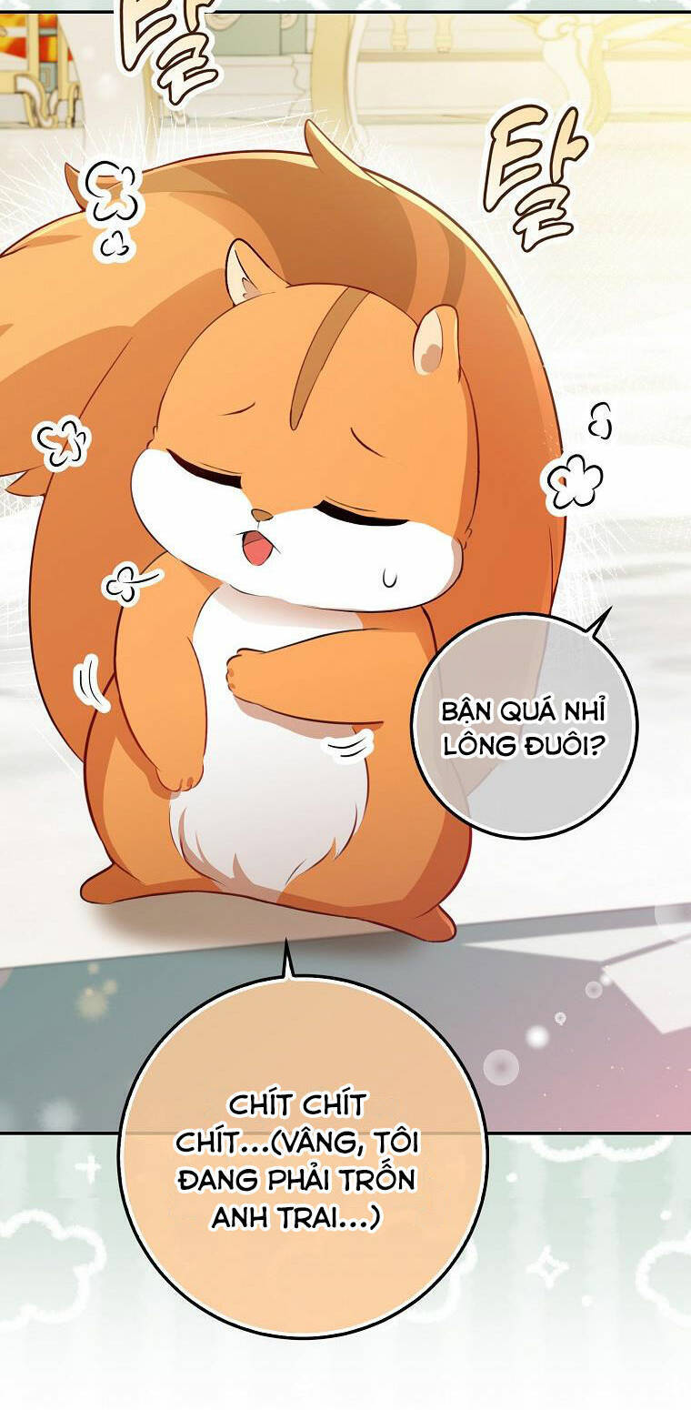 Sóc Nhỏ Tài Năng Chap 52 - Next Chap 53