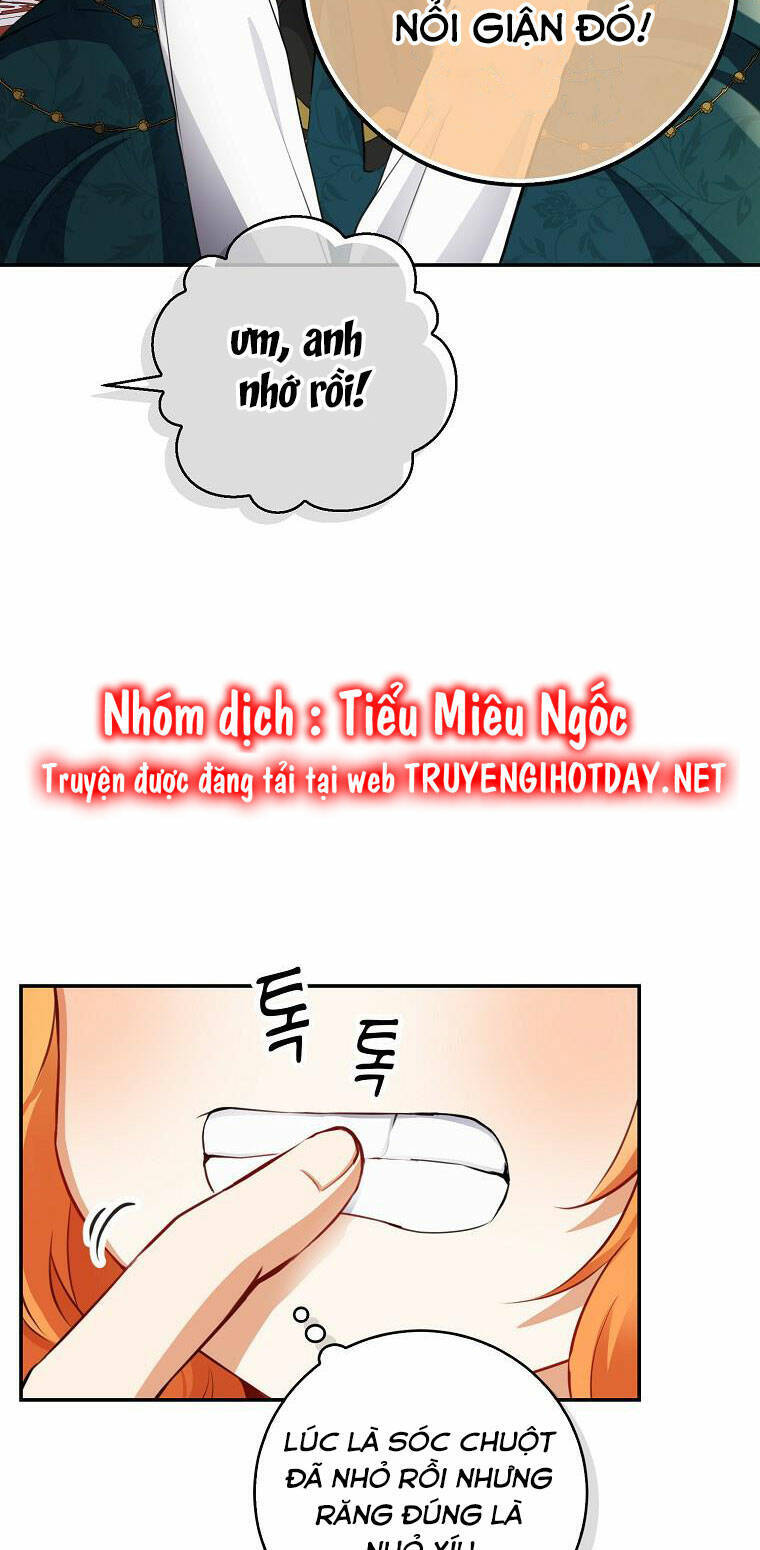 Sóc Nhỏ Tài Năng Chap 52 - Next Chap 53