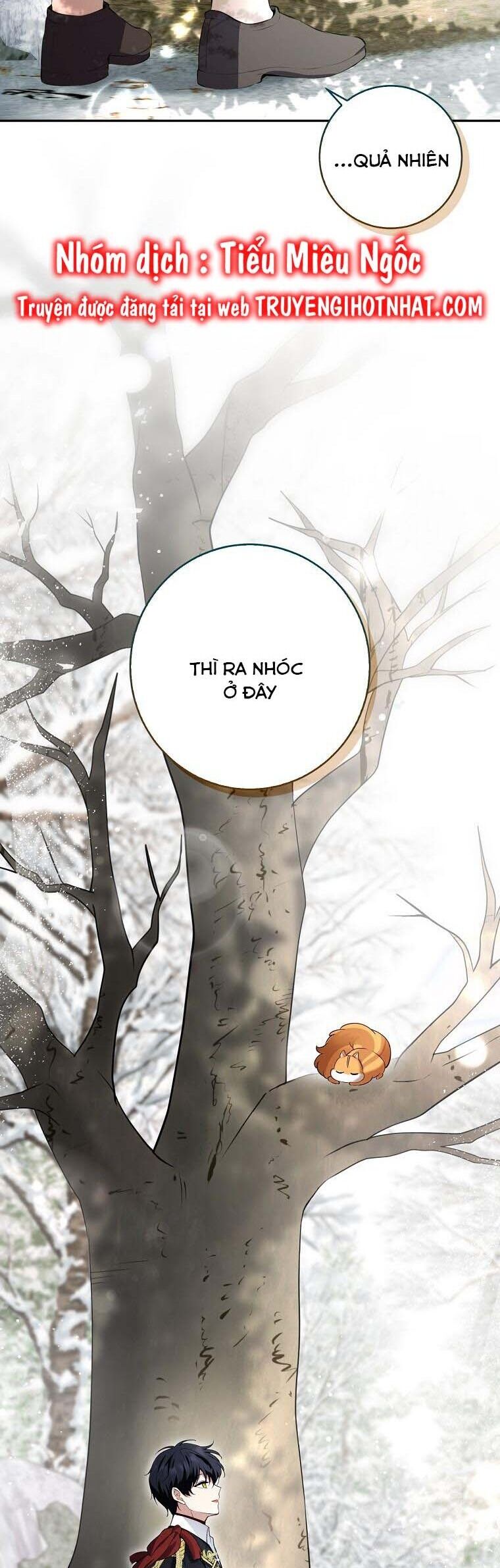 Sóc Nhỏ Tài Năng Chap 53 - Next Chap 54