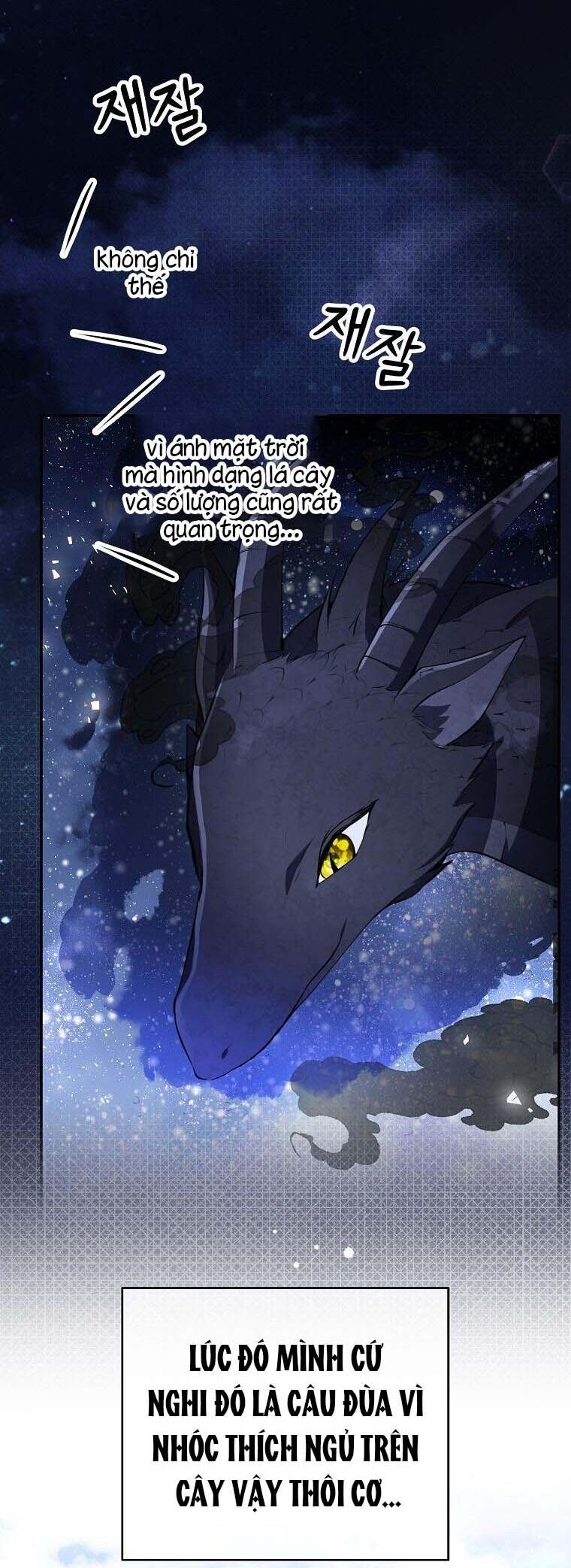 Sóc Nhỏ Tài Năng Chap 53 - Next Chap 54