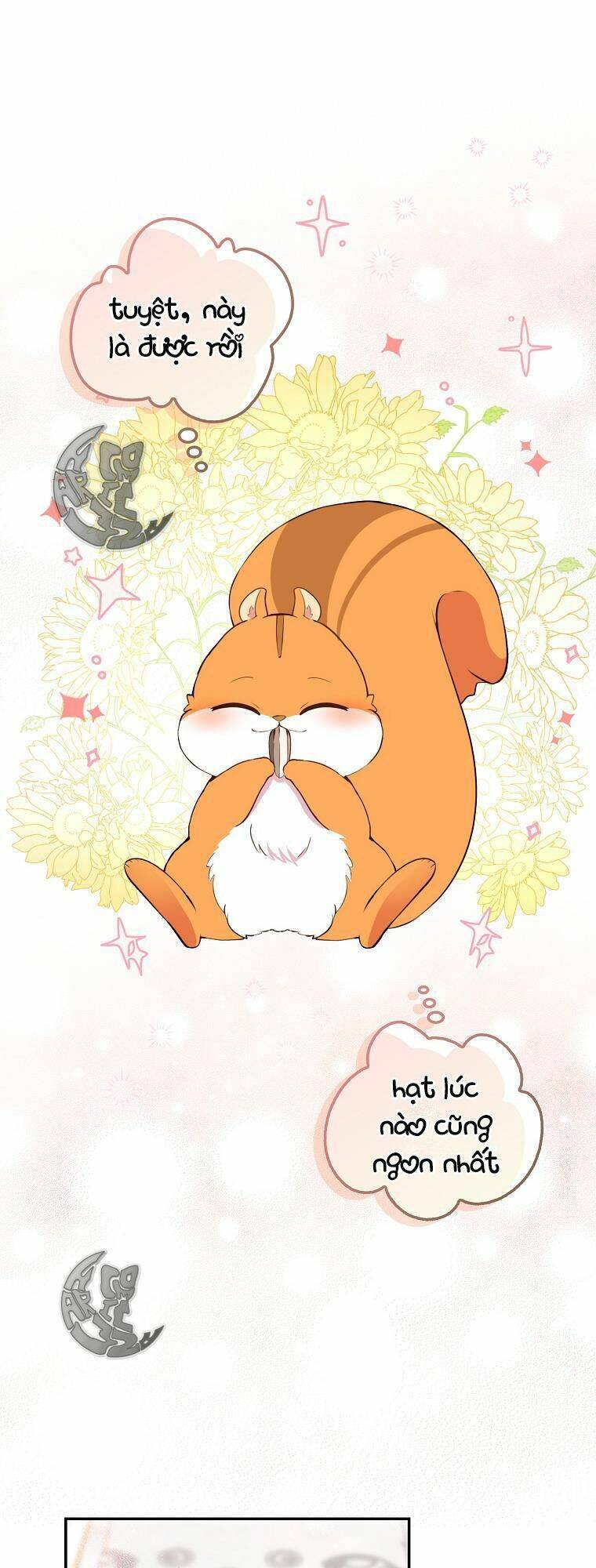 Sóc Nhỏ Tài Năng Chap 6 - Next Chap 7