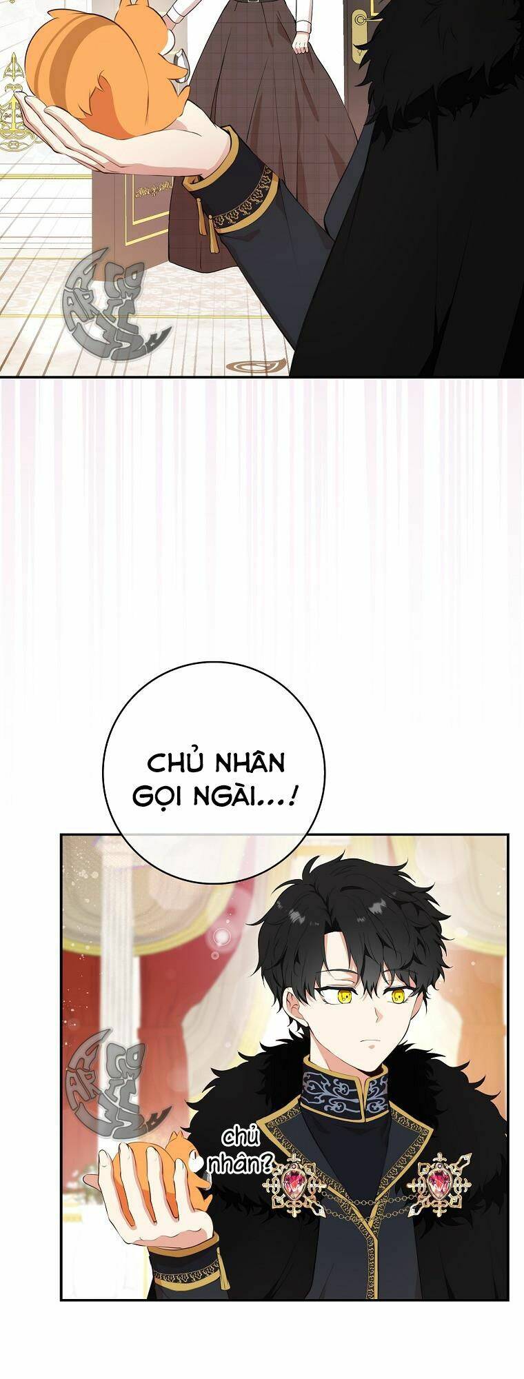 Sóc Nhỏ Tài Năng Chap 6 - Next Chap 7