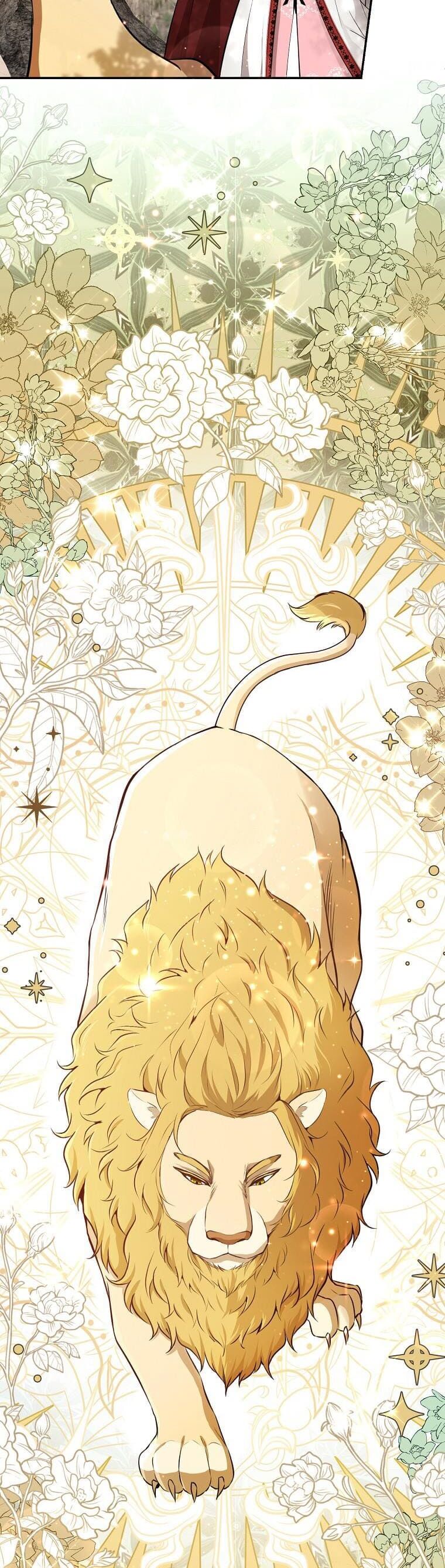 Sóc Nhỏ Tài Năng Chap 61 - Next Chap 62