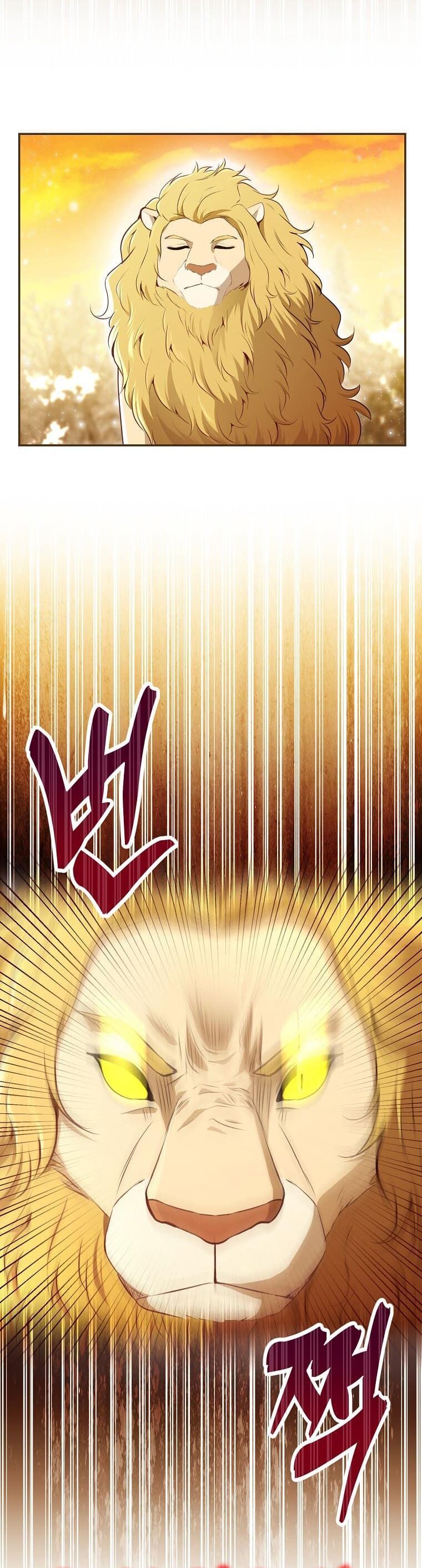 Sóc Nhỏ Tài Năng Chap 61 - Next Chap 62