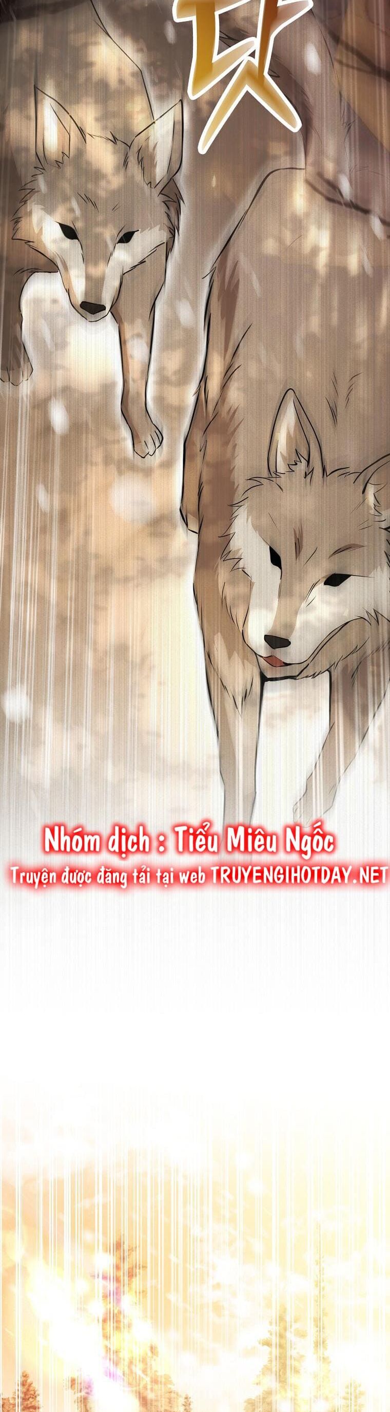 Sóc Nhỏ Tài Năng Chap 61 - Next Chap 62