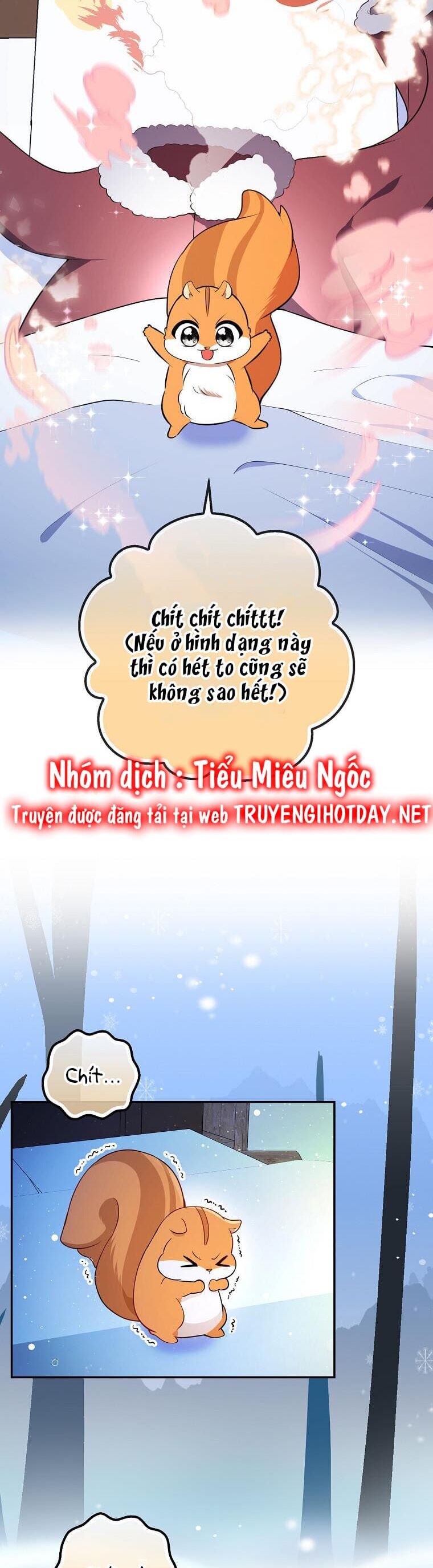 Sóc Nhỏ Tài Năng Chap 61 - Next Chap 62