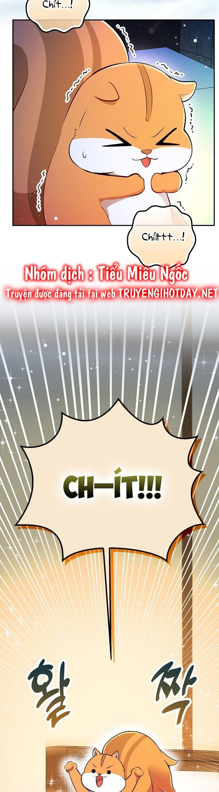 Sóc Nhỏ Tài Năng Chap 61 - Next Chap 62
