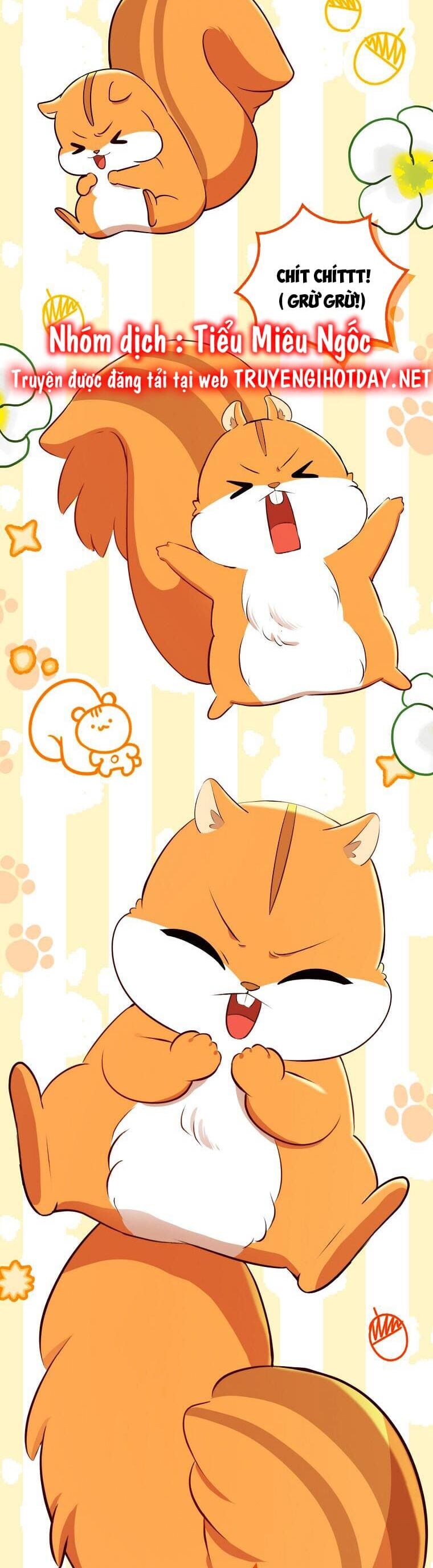Sóc Nhỏ Tài Năng Chap 61 - Next Chap 62