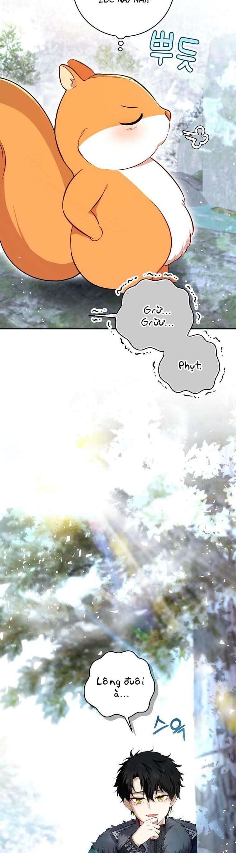 Sóc Nhỏ Tài Năng Chap 61 - Next Chap 62