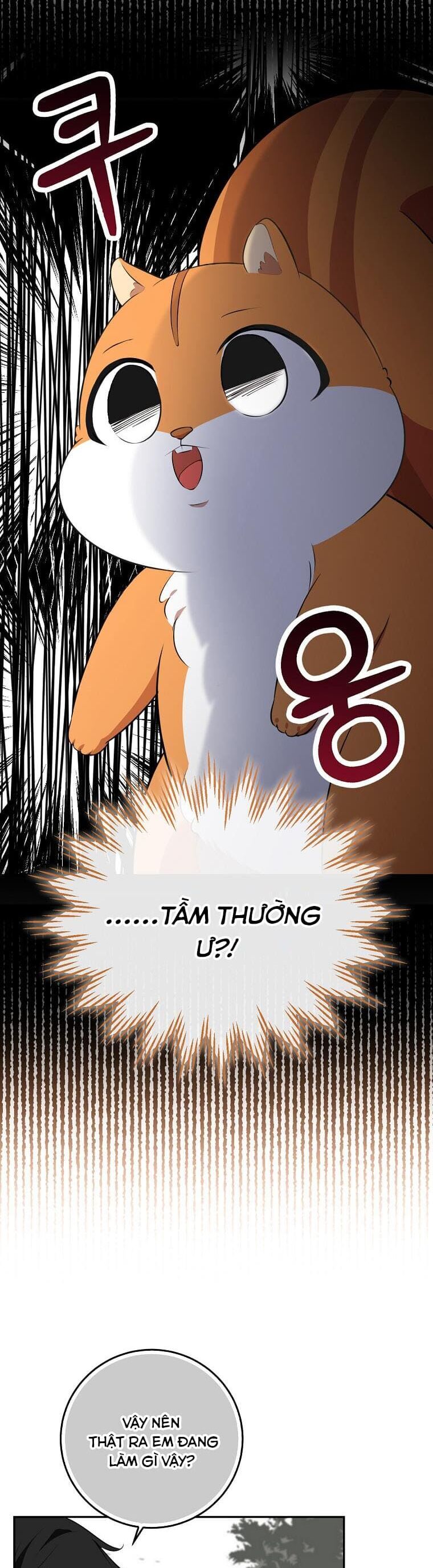 Sóc Nhỏ Tài Năng Chap 61 - Next Chap 62