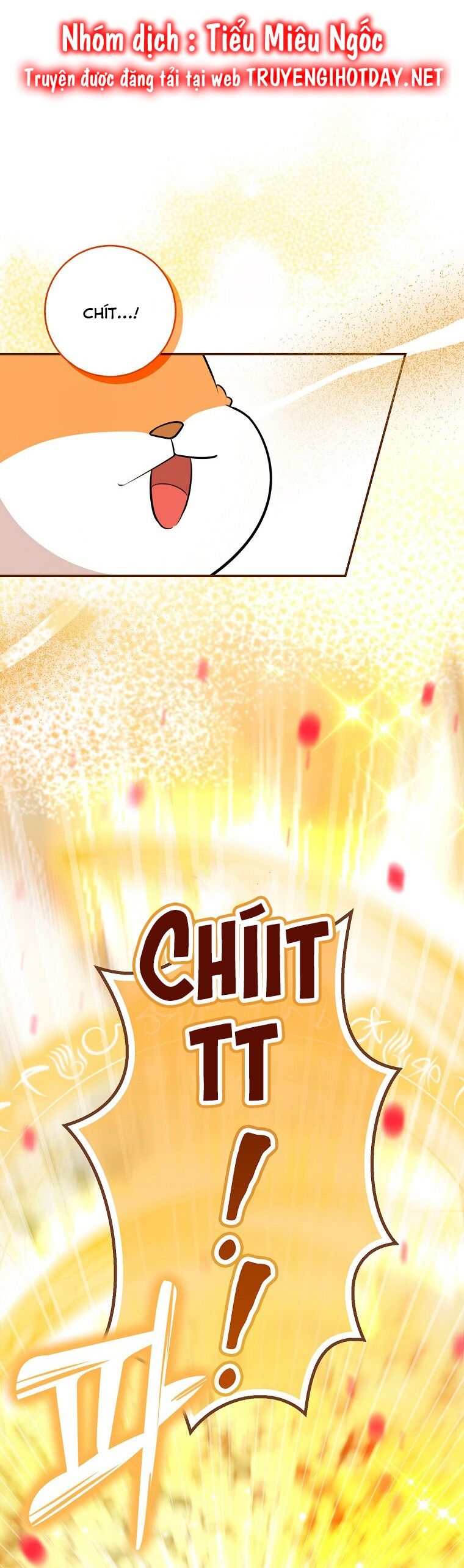 Sóc Nhỏ Tài Năng Chap 62 - Next Chap 63