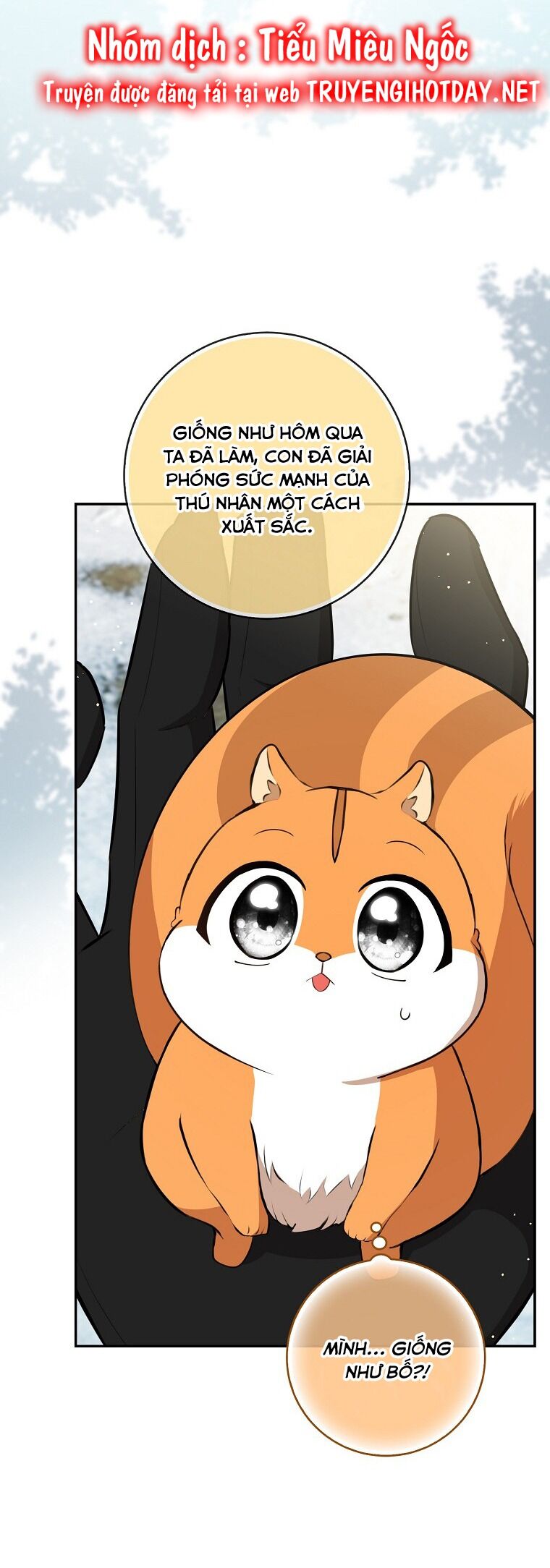 Sóc Nhỏ Tài Năng Chap 62 - Next Chap 63