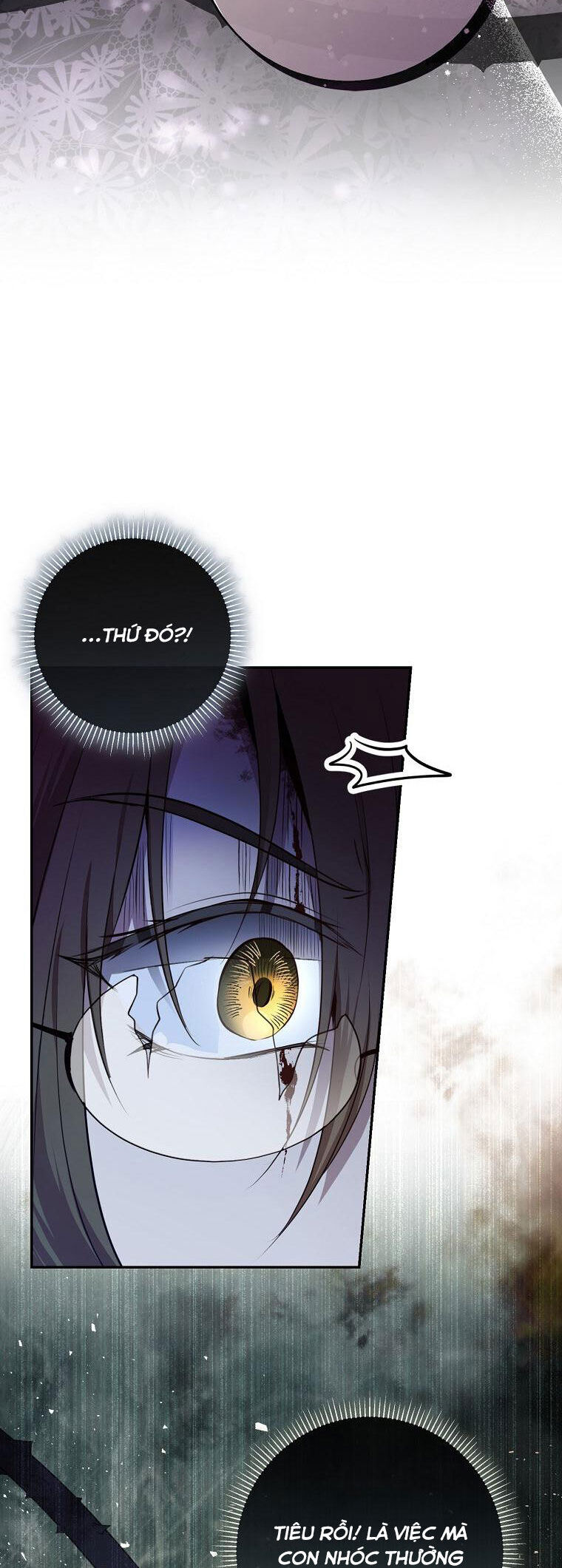 Sóc Nhỏ Tài Năng Chap 63 - Next Chap 64