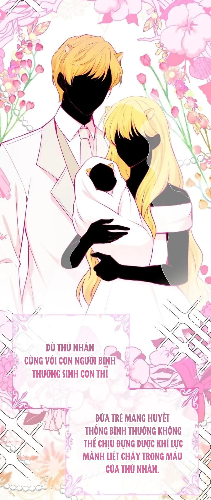Sóc Nhỏ Tài Năng Chap 64 - Next Chap 65