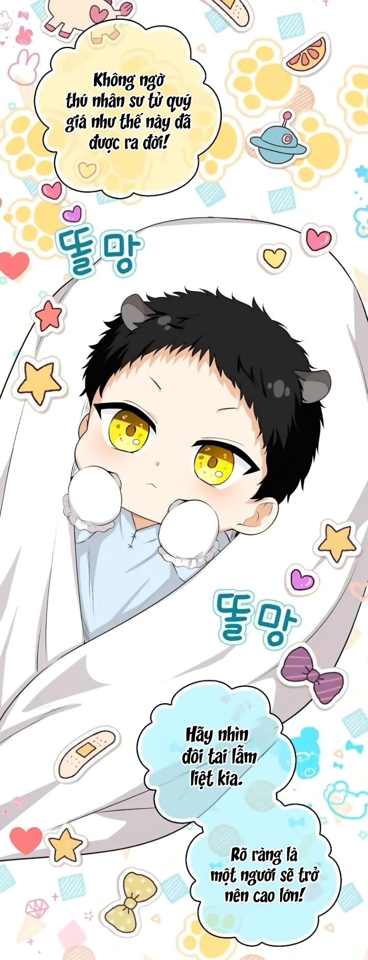 Sóc Nhỏ Tài Năng Chap 64 - Next Chap 65